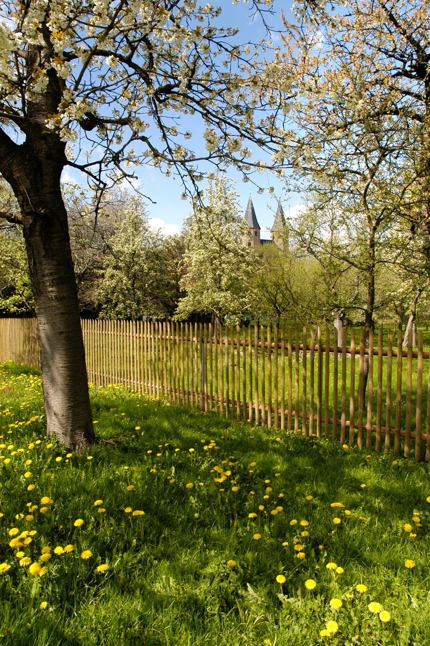 Garten der Äbtissin, Kloster Drübeck