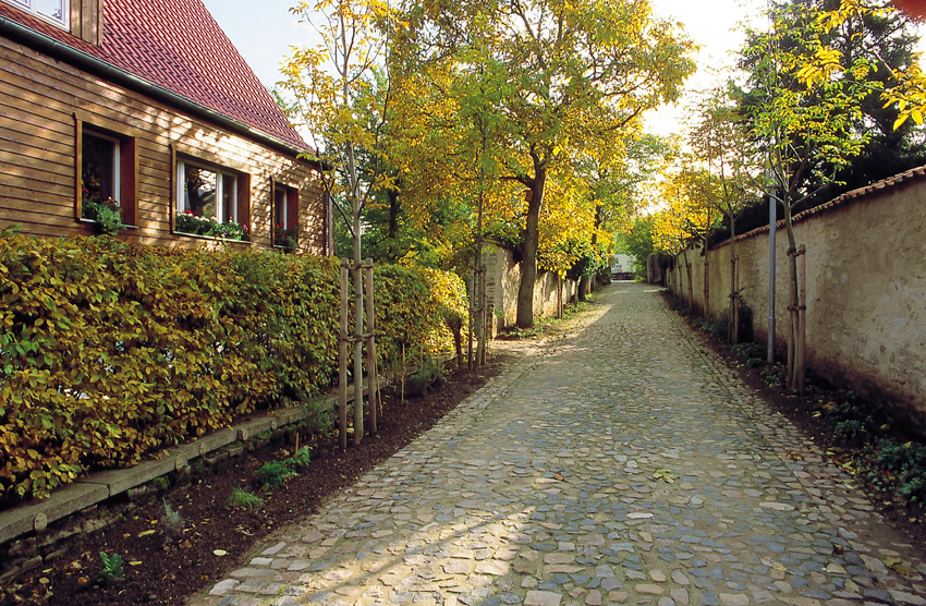Klosterhof mit Linde, Kloster Drübeck